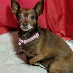 Meet your Posher, Deborah